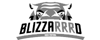 blizzarrrd-rock